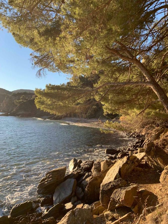 Villa Cavalaire Sur Mer Exterior photo